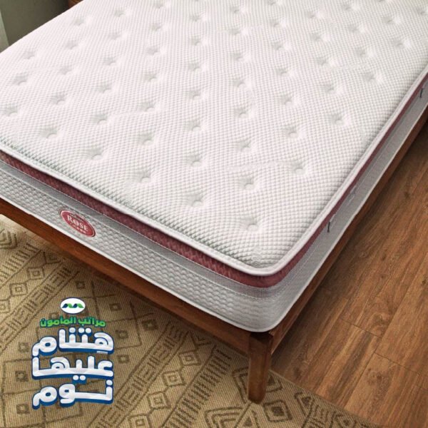 Artboard 3 50 600x600