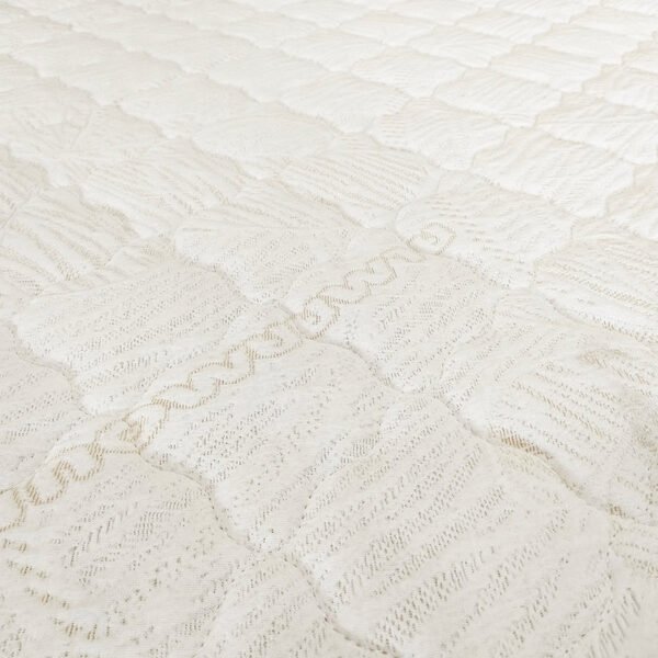 Evelina2 df1a3fe1 1d04 49f3 8e14 67c4ac88be29 600x600