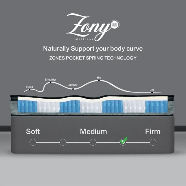 ZonyPosterWebsite d22c5943 7c2c 404b 9fd4 cbbc75672897 600x600