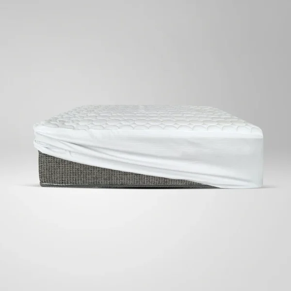 C 833079cf 0468 4e39 839c dbff629932f8 600x600