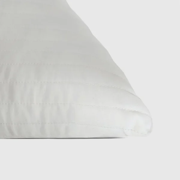 LongPillowC 600x600