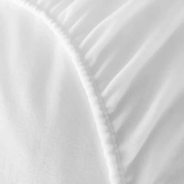 SpanishProtectorB 600x600