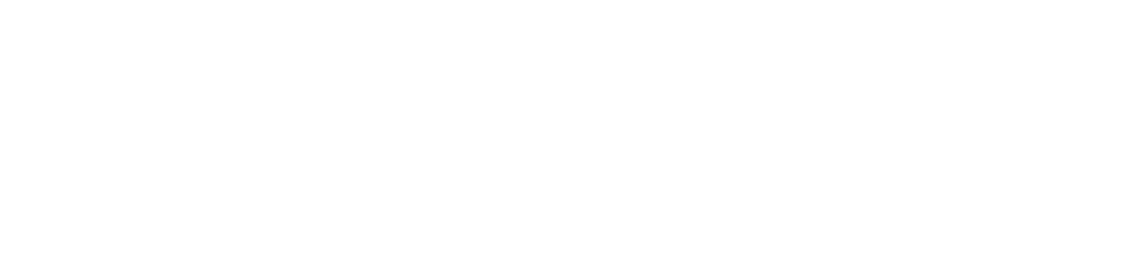 Alma Home Store